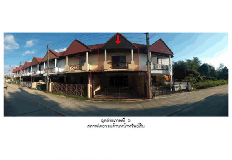 ต้นเปา สันกำแพง เชียงใหม่