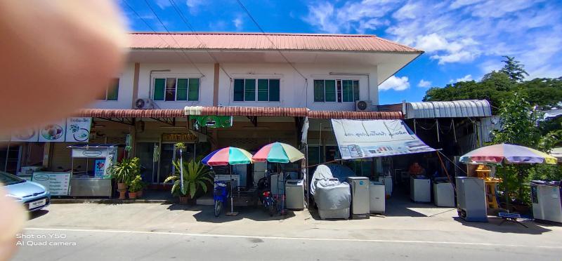 ต้นเปา สันกำแพง เชียงใหม่