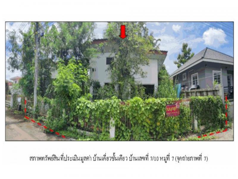 ชมภู สารภี เชียงใหม่