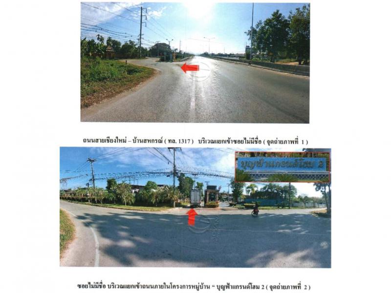 ต้นเปา สันกำแพง เชียงใหม่
