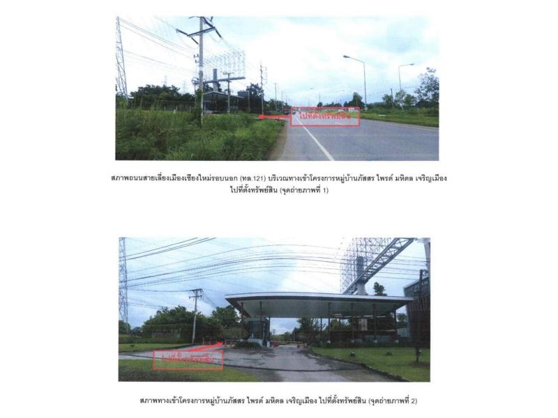 ต้นเปา สันกำแพง เชียงใหม่