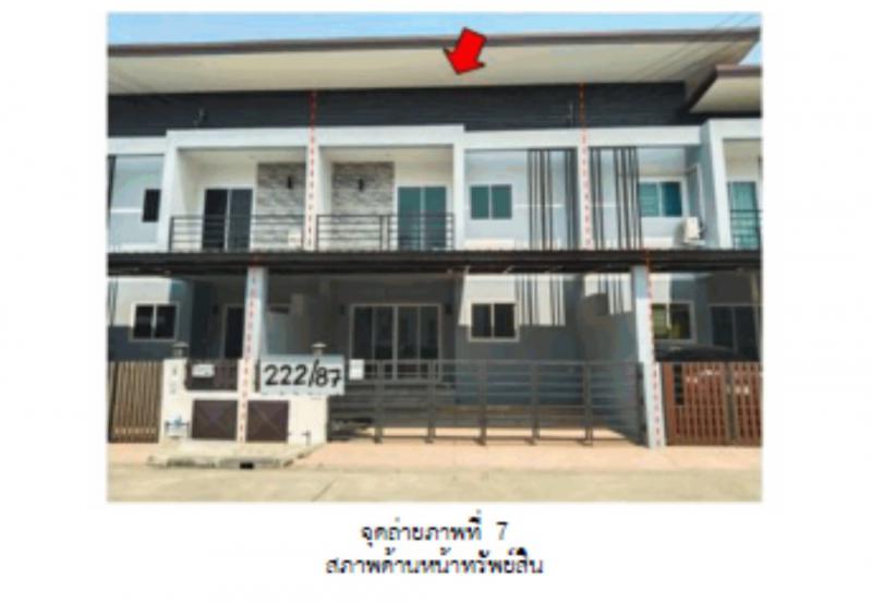 ต้นเปา สันกำแพง เชียงใหม่