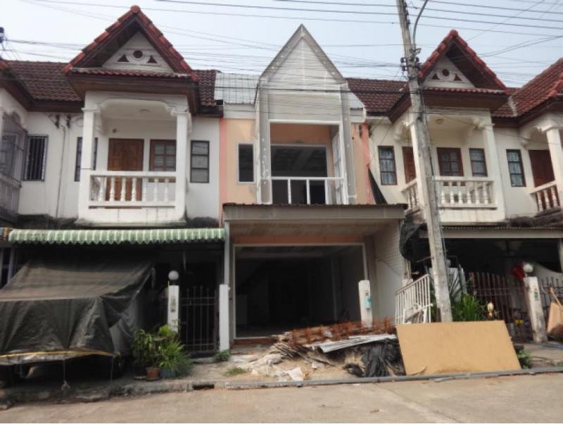 ต้นเปา สันกำแพง เชียงใหม่
