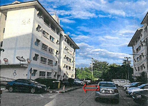 ป่าตัน เมืองเชียงใหม่ เชียงใหม่