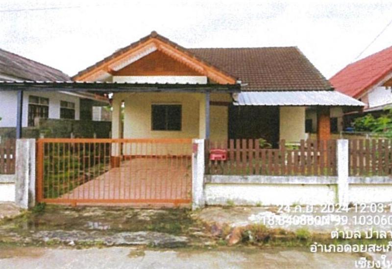 ป่าลาน ดอยสะเก็ด เชียงใหม่
