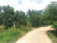 ขายที่ดินว่างเปล่า