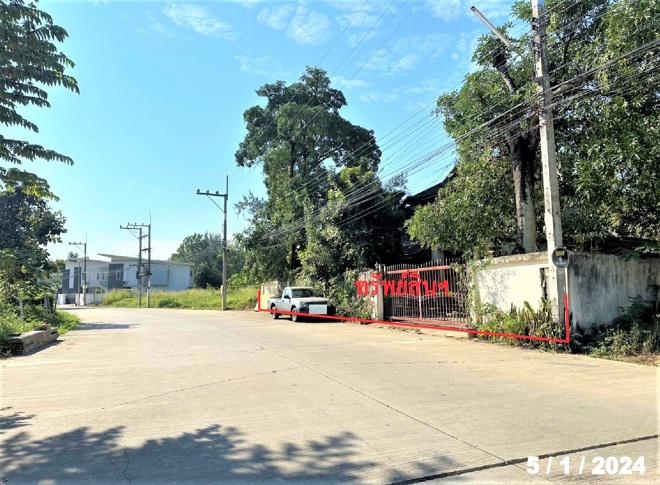 ชมภู สารภี เชียงใหม่