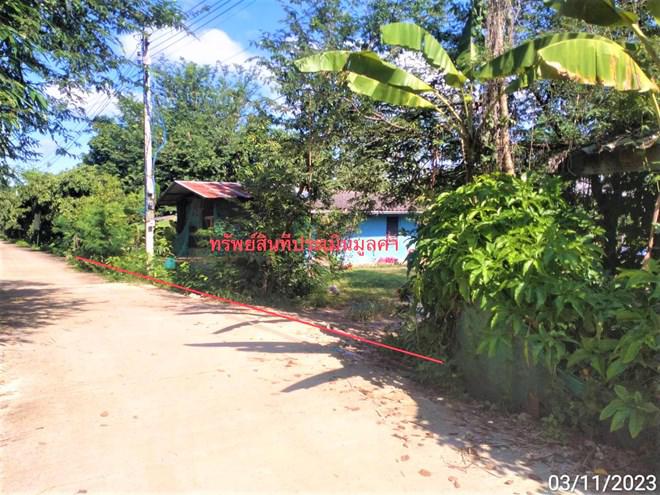 บ้านตาล ฮอด เชียงใหม่