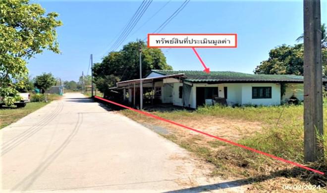 ป่าลาน ดอยสะเก็ด เชียงใหม่