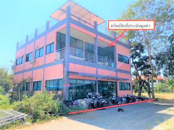 ป่าลาน ดอยสะเก็ด เชียงใหม่