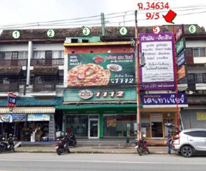 ต้นเปา สันกำแพง เชียงใหม่